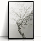 Modern Tree Sketch - Monochrome Living Room Wall Art on Canvas