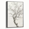 Modern Tree Sketch - Monochrome Living Room Wall Art on Canvas