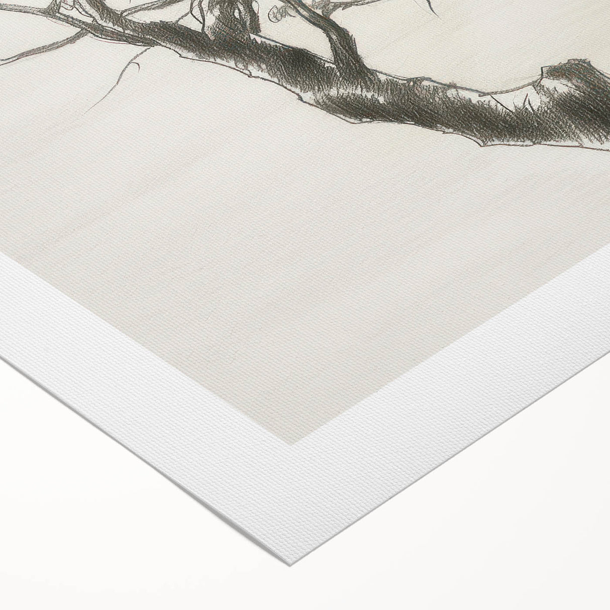 Modern Tree Sketch - Monochrome Living Room Wall Art on Canvas