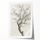 Modern Tree Sketch - Monochrome Living Room Wall Art on Canvas