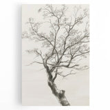 Modern Tree Sketch - Monochrome Living Room Wall Art on Canvas