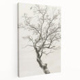 Modern Tree Sketch - Monochrome Living Room Wall Art on Canvas