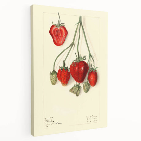 Large canvas depicting an array of colorful fruits, ideal for kitchen wall art.