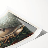 Realism Art Print of Trumpeter Swan - Elegant Nature Illustration