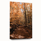 Large abstract wall art in autumnal hues on acrylic glass, ideal for bedroom or dining room decor.