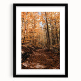 Extra large colorful abstract art print on canvas with textured design in vibrant autumn hues, ideal for living room decor.