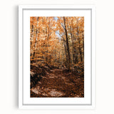 Abstract art print featuring warm autumnal hues on a white framed canvas, ideal for dining room or bedroom decor.