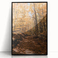 Large abstract wall art depicting fall season in warm orange tones on acrylic, framed in black.