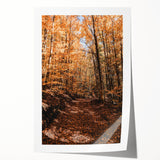 Extra large rolled print depicting a serene fall scene with muted orange and brown tones, ideal for art wall dining room.