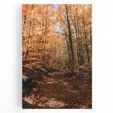 Large black and white acrylic print of a stylized tree in autumn, ideal for kitchen wall art.
