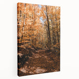 Abstract depiction of autumn trees on large stretched canvas, featuring warm orange and red tones.