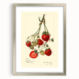 Textured abstract art print featuring assorted fruits in muted colors on a silver-framed mat, ideal for bedroom art.