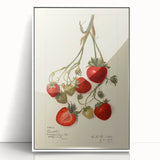 Framed acrylic print of colorful assorted fruits on a white background, in art deco style, suitable for modern kitchen decor.