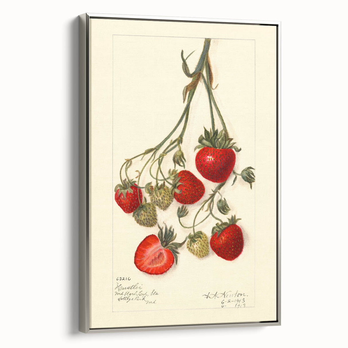 Landscape art painting of colorful fruits on a black background, framed in silver, ideal for kitchen wall decor.
