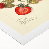 Art Deco poster featuring an assortment of fruits in vibrant colors on a rolled canvas, ideal for dining room wall art.