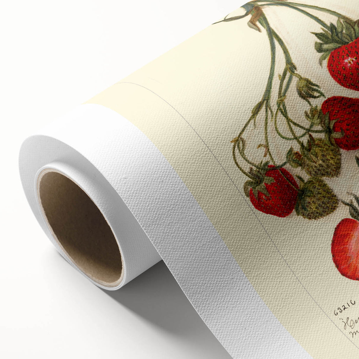 Art deco poster of assorted colorful fruits on rolled canvas, ideal for nursery wall art or dining room decor.
