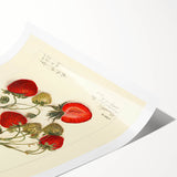 Extra large wall art featuring line art flowers in monochrome, ideal for large living room decor.