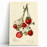 Black and white stretched canvas featuring an assortment of fruits, ideal for kitchen wall art.