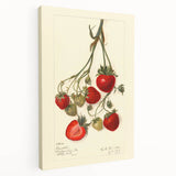 Large canvas print featuring an array of colorful fruits, ideal for kitchen wall art.