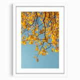 Abstract art print depicting fall foliage in red and orange tones on a white framed canvas, ideal for dining room decor.