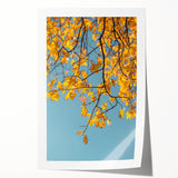 Extra large rolled print of autumnal floral art in warm orange and red tones.