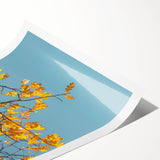 Extra large wall art featuring line art flowers in autumnal tones on a rolled canvas, suitable for large living room decor.