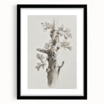 Nature Sketch - Monochrome Tree Trunk Living Room Wall Art