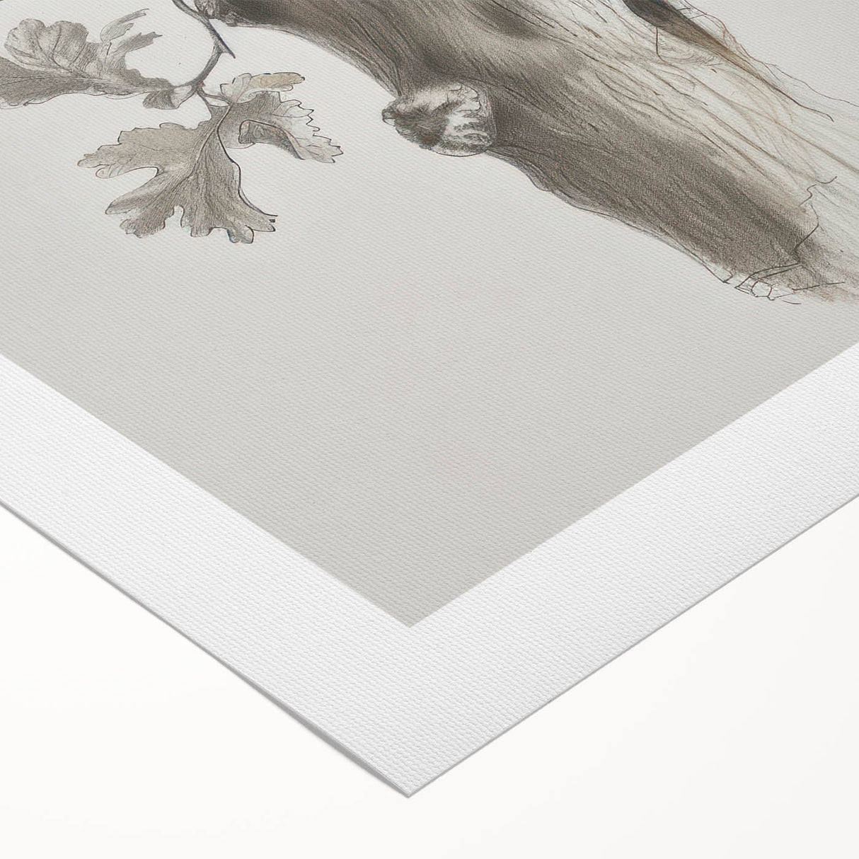 Nature Sketch - Monochrome Tree Trunk Living Room Wall Art