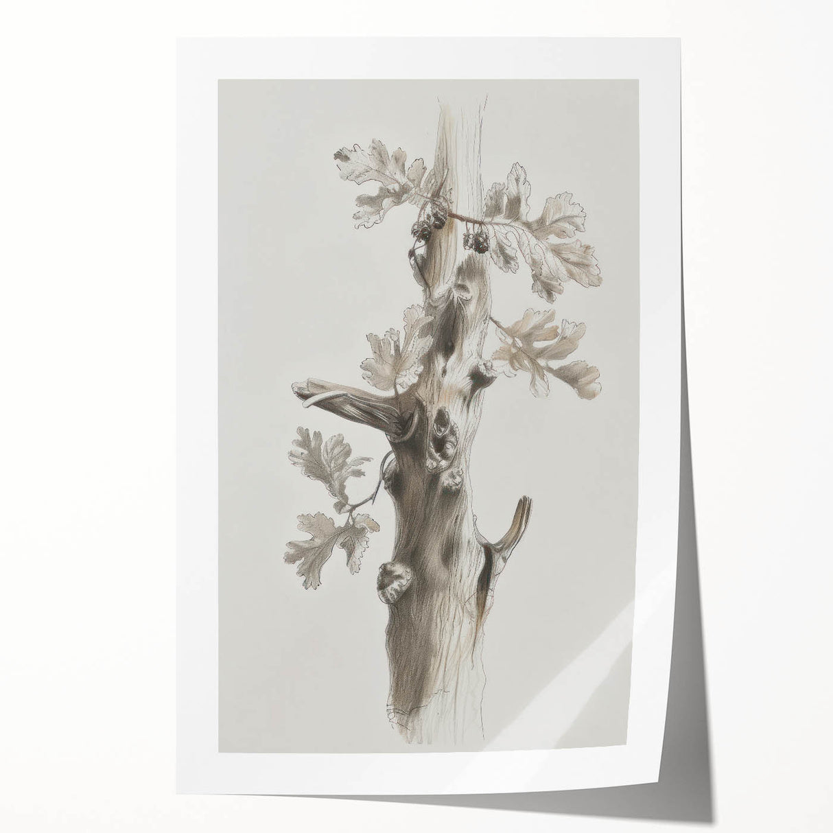 Nature Sketch - Monochrome Tree Trunk Living Room Wall Art