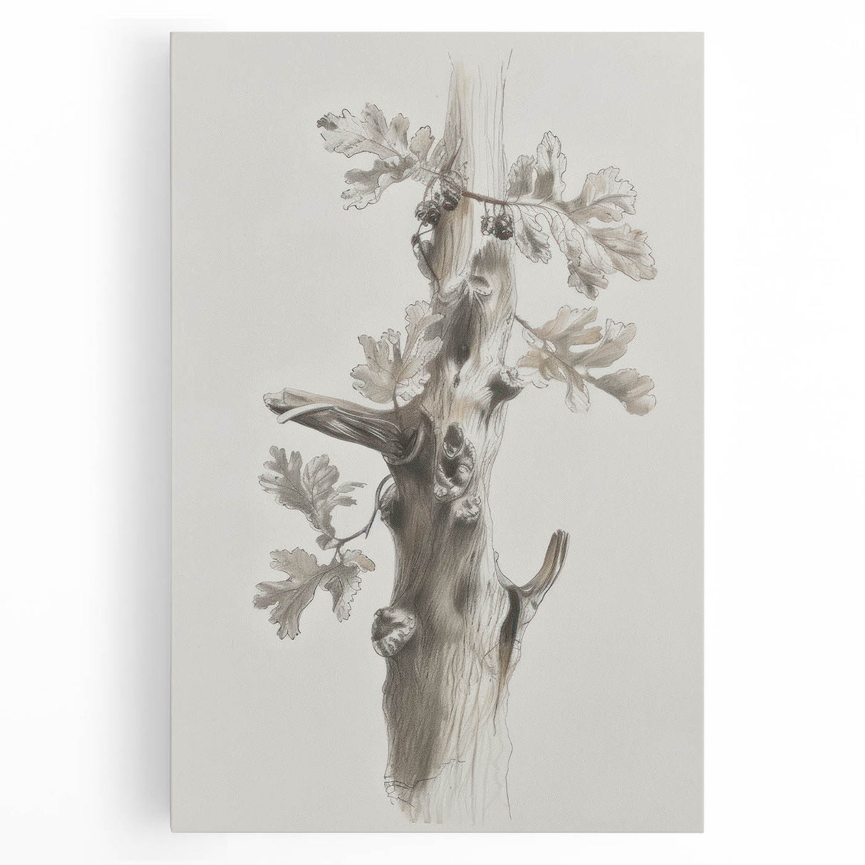 Nature Sketch - Monochrome Tree Trunk Living Room Wall Art