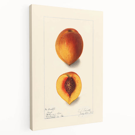 Large canvas of assorted fruits in vibrant colors, ideal for kitchen wall art.