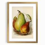 Realism Art Print of Vintage Pear Illustration - Classic Fruit Study