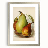 Realism Art Print of Vintage Pear Illustration - Classic Fruit Study