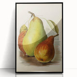 Realism Art Print of Vintage Pear Illustration - Classic Fruit Study