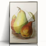 Realism Art Print of Vintage Pear Illustration - Classic Fruit Study
