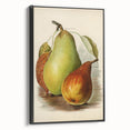 Realism Art Print of Vintage Pear Illustration - Classic Fruit Study