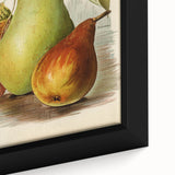 Realism Art Print of Vintage Pear Illustration - Classic Fruit Study