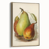 Realism Art Print of Vintage Pear Illustration - Classic Fruit Study