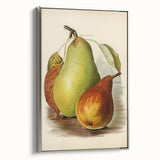 Realism Art Print of Vintage Pear Illustration - Classic Fruit Study