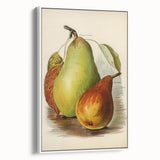 Realism Art Print of Vintage Pear Illustration - Classic Fruit Study