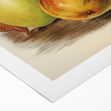 Realism Art Print of Vintage Pear Illustration - Classic Fruit Study