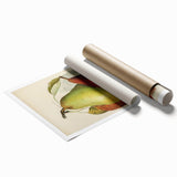 Realism Art Print of Vintage Pear Illustration - Classic Fruit Study