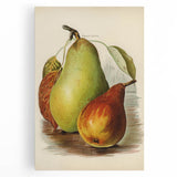 Realism Art Print of Vintage Pear Illustration - Classic Fruit Study