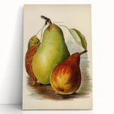 Realism Art Print of Vintage Pear Illustration - Classic Fruit Study