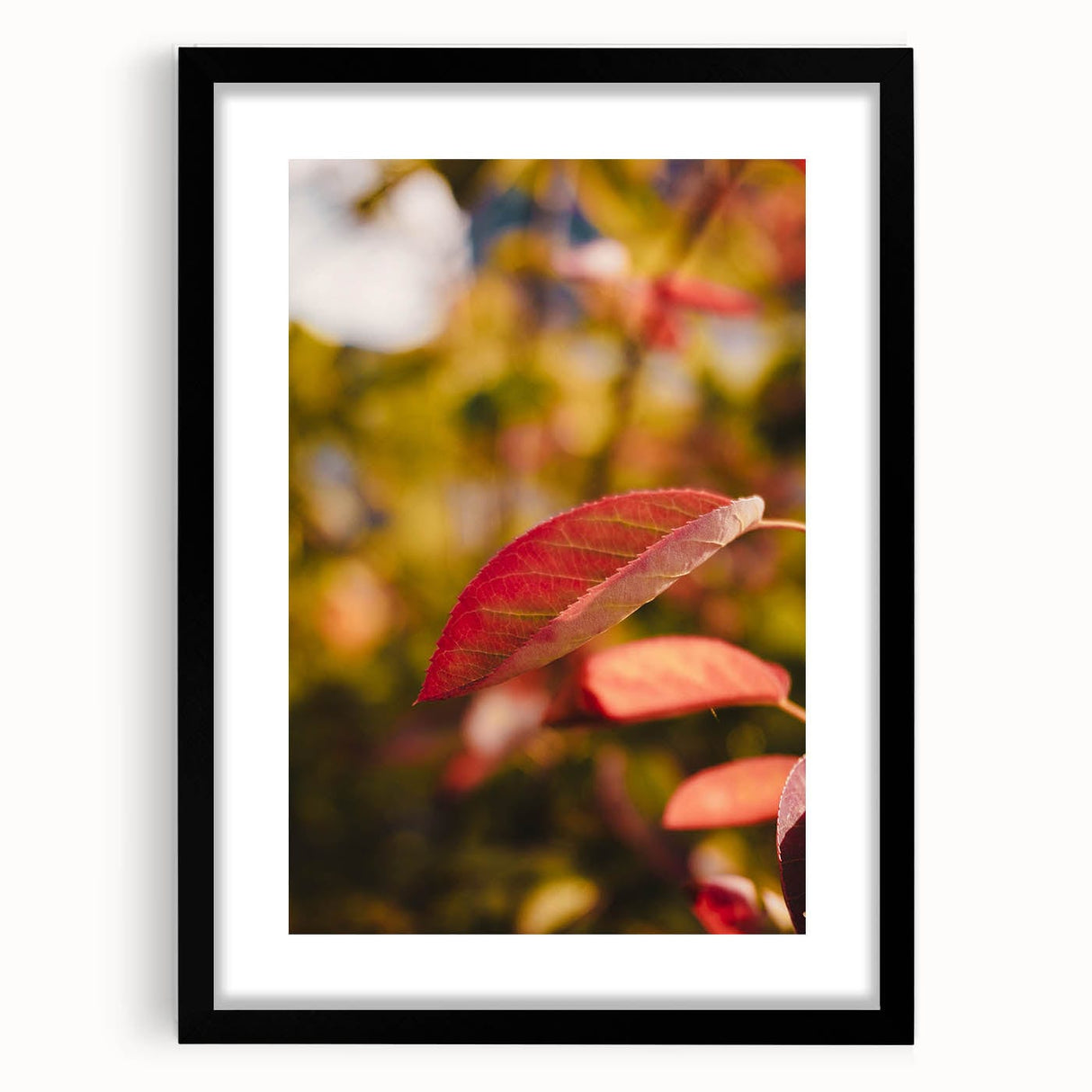 Extra large abstract art print with textured fall colors on a black framed canvas, ideal for living room decor.