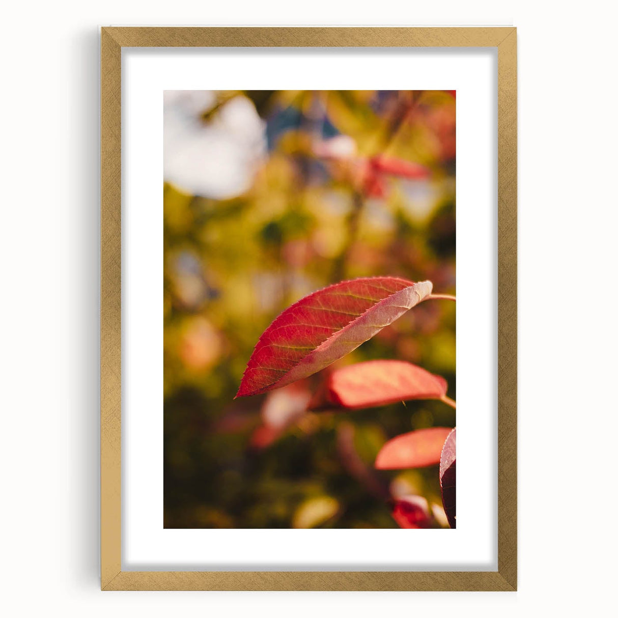Extra large abstract art print featuring textured swirls in autumnal shades, framed in gold, ideal for living room decor.