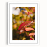 Abstract art print featuring swirling autumnal hues in a white frame, ideal for dining room or bedroom decor.