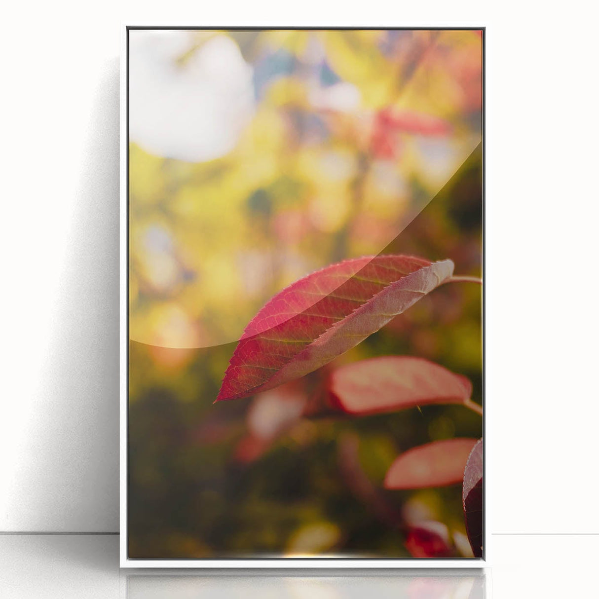 Art deco poster featuring a modern art wall decor scene of autumn trees in subdued orange and brown tones, framed acrylic.