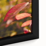Extra large framed canvas featuring textured black wall art with colorful, abstract fall motifs, ideal for living room decor.