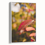 Vintage poster art of fall trees on extra large framed canvas, featuring vibrant autumn colors, ideal for living room decor.